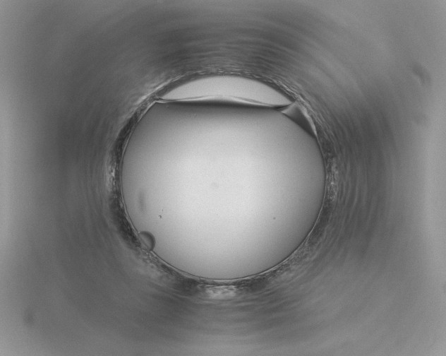 X0000115820355200912111256