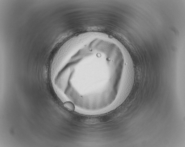 X0000115820357200912111256