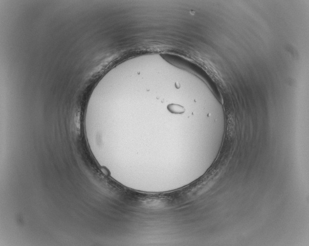 X0000115820358200912111256