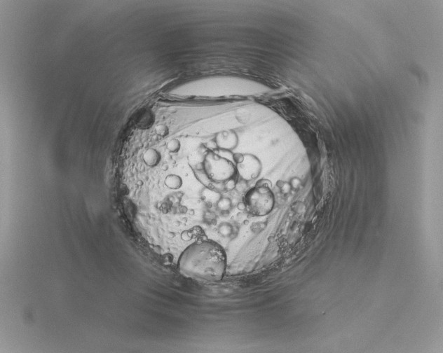 X0000115820359200912111256