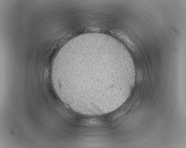 X0000115820365200912111256