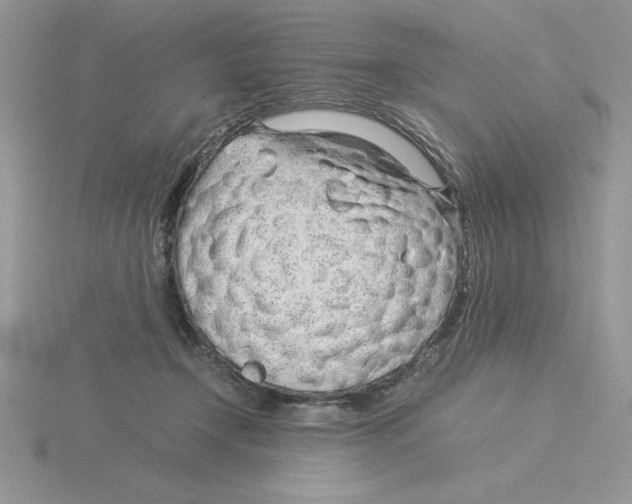 X0000115820366200912111256