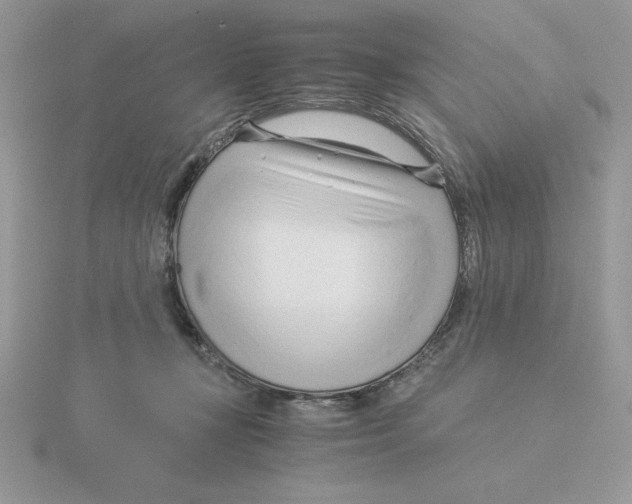 X0000115820367200912111256