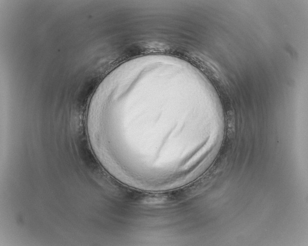 X0000115820369200912111256