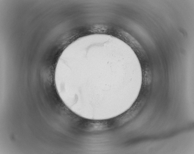 X0000115820370200912111256