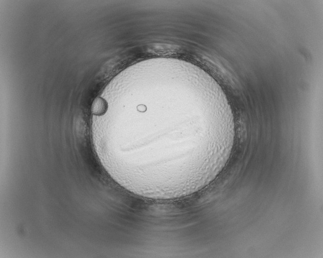 X0000115820371200912111256