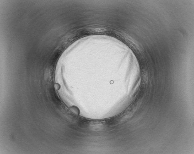 X0000115820373200912111256