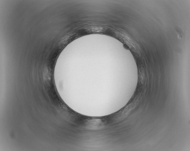 X0000115820374200912111256