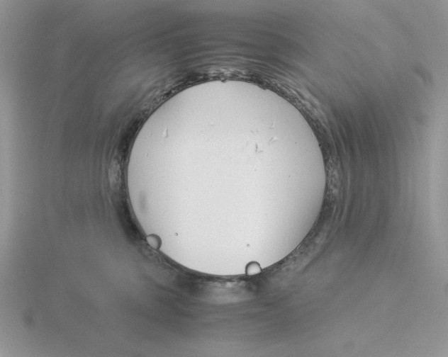 X0000115820375200912111256