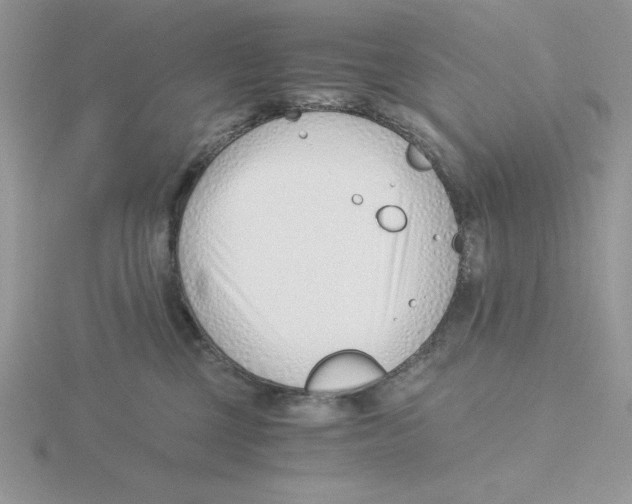 X0000115820377200912111256