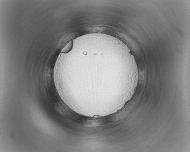 X0000115820381200912111256