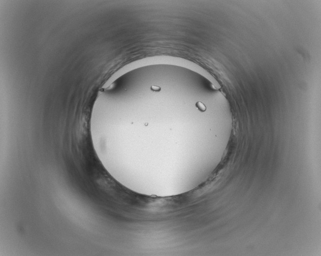 X0000115820382200912111256