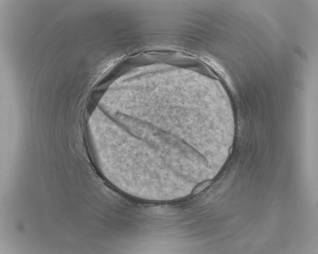 X0000115820385200912111256