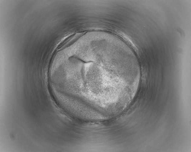 X0000115820386200912111256