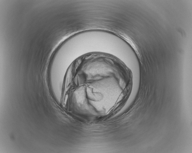 X0000115820387200912111256