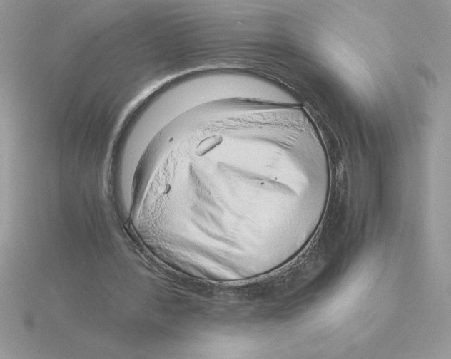 X0000115820388200912111256