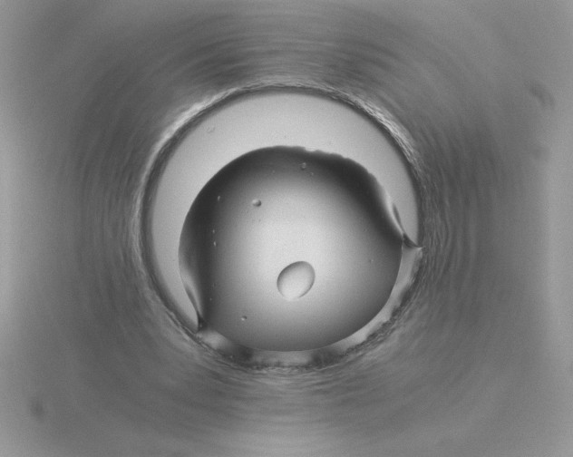 X0000115820391200912111256