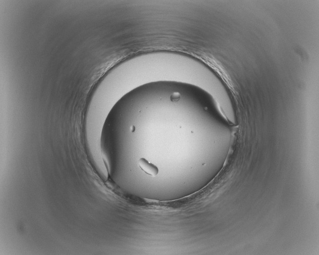 X0000115820393200912111256