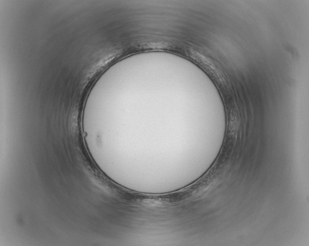 X0000115820394200912111256