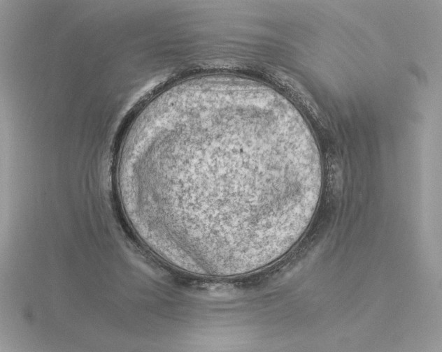 X0000115820395200912111256