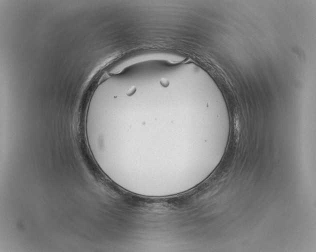 X0000115820396200912111256