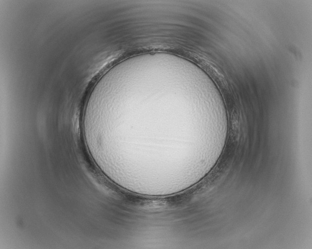 X0000115820398200912111255