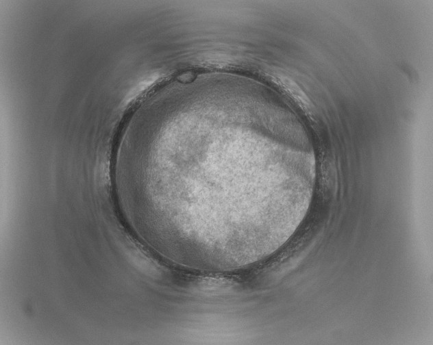 X0000115820399200912111255