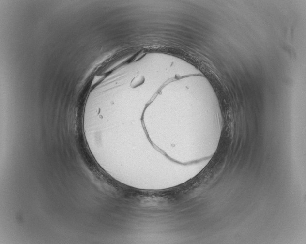 X0000115820400200912111255