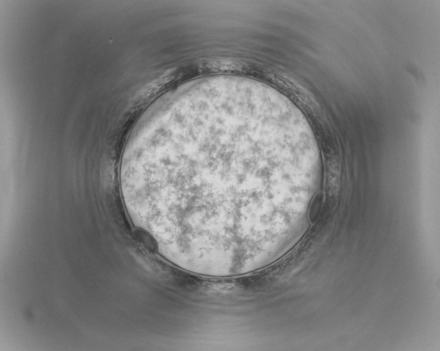 X0000115820401200912111255