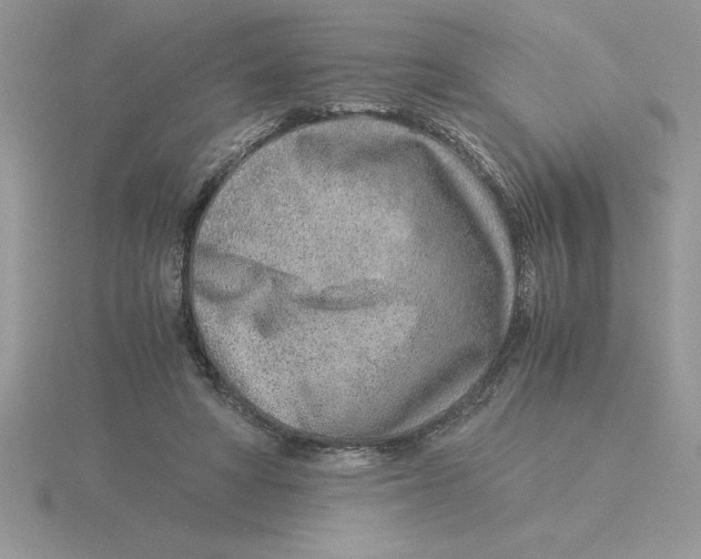 X0000115820402200912111255