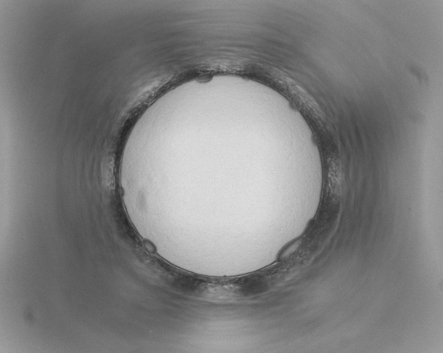 X0000115820403200912111255