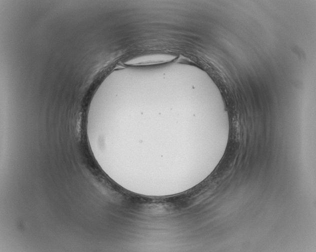 X0000115820404200912111255