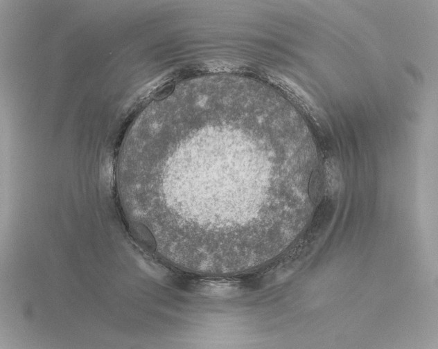 X0000115820405200912111255