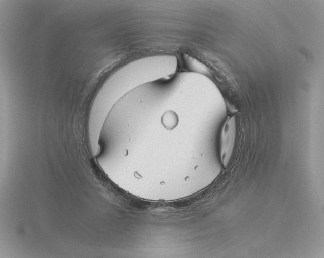 X0000115820407200912111255