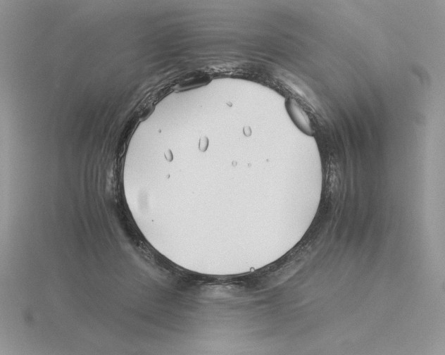 X0000115820408200912111255