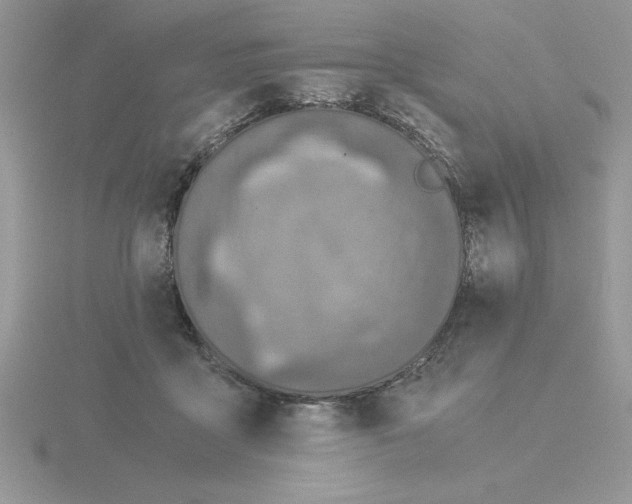 X0000115820411200912111255