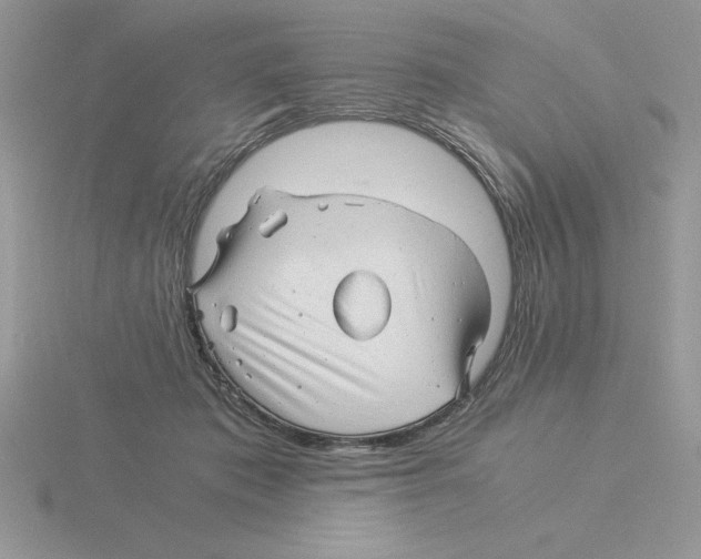 X0000115820413200912111255