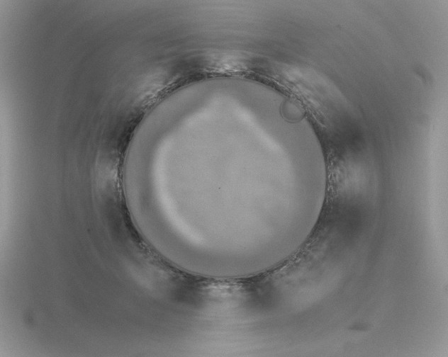 X0000115820415200912111255