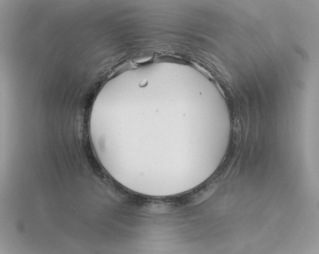 X0000115820416200912111255