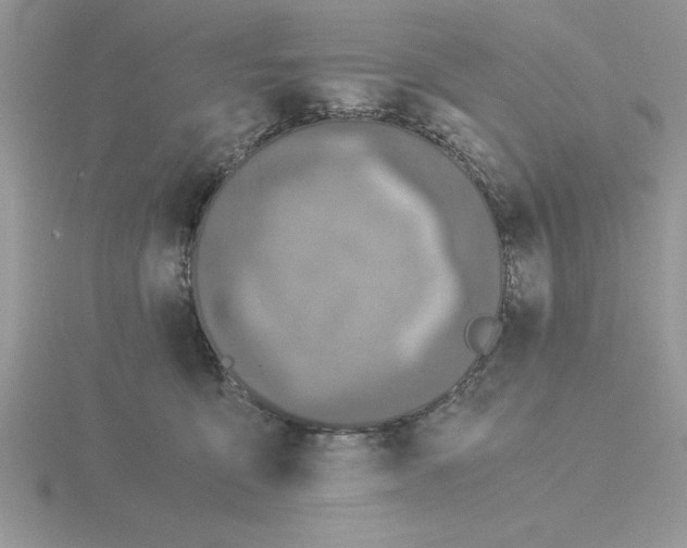 X0000115820419200912111255