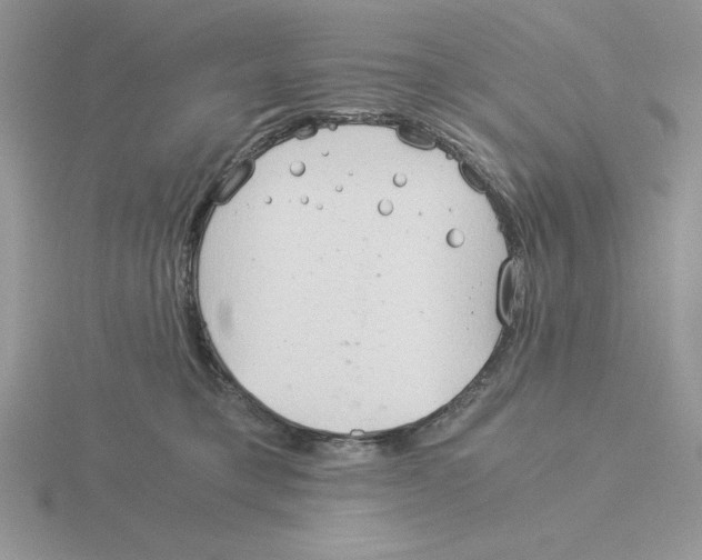 X0000115820421200912111255