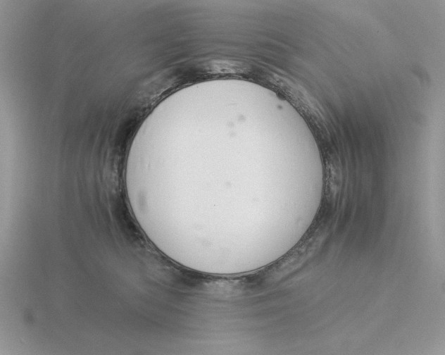 X0000115820422200912111255