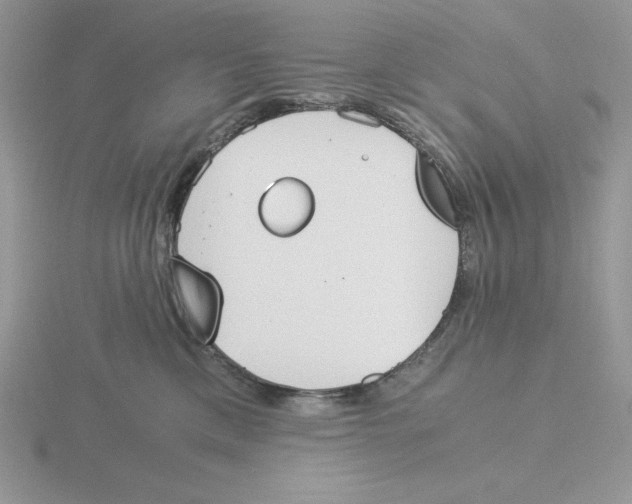 X0000115820425200912111255