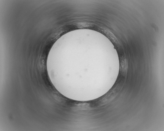 X0000115820426200912111255