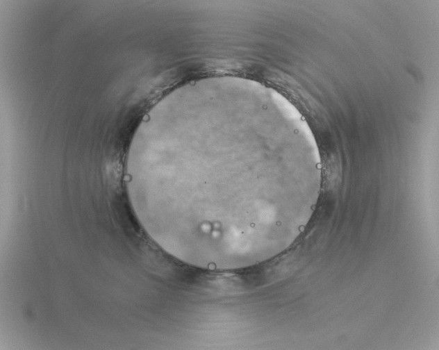 X0000115820427200912111255