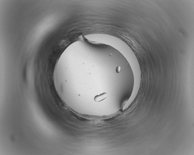 X0000115820429200912111255