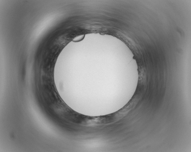 X0000115820430200912111255