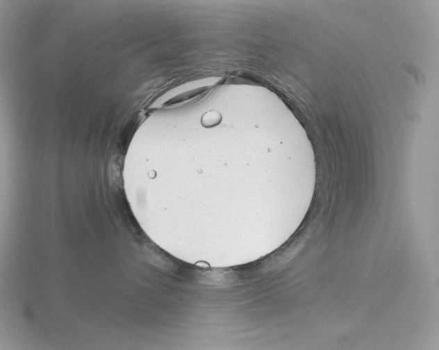 X0000115820432200912111255