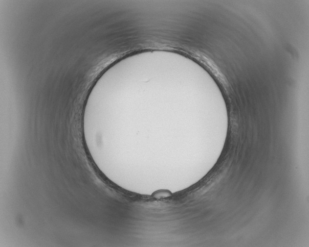 X0000115820433200912111254