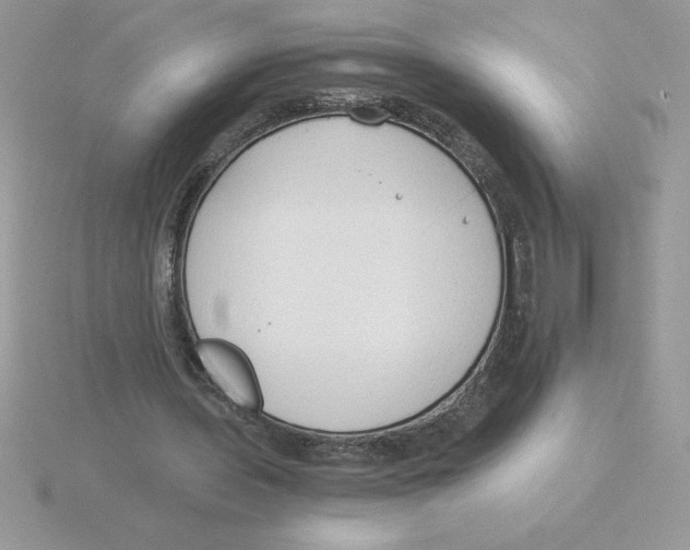 X0000115820435200912111254